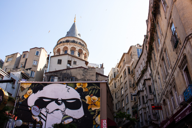 Galata Tower Panda