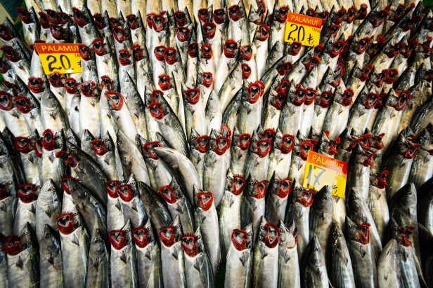 Kadıköy Fish Istanbul