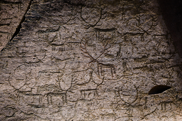 Camuşlu Petroglyphs Kaya Resimleri