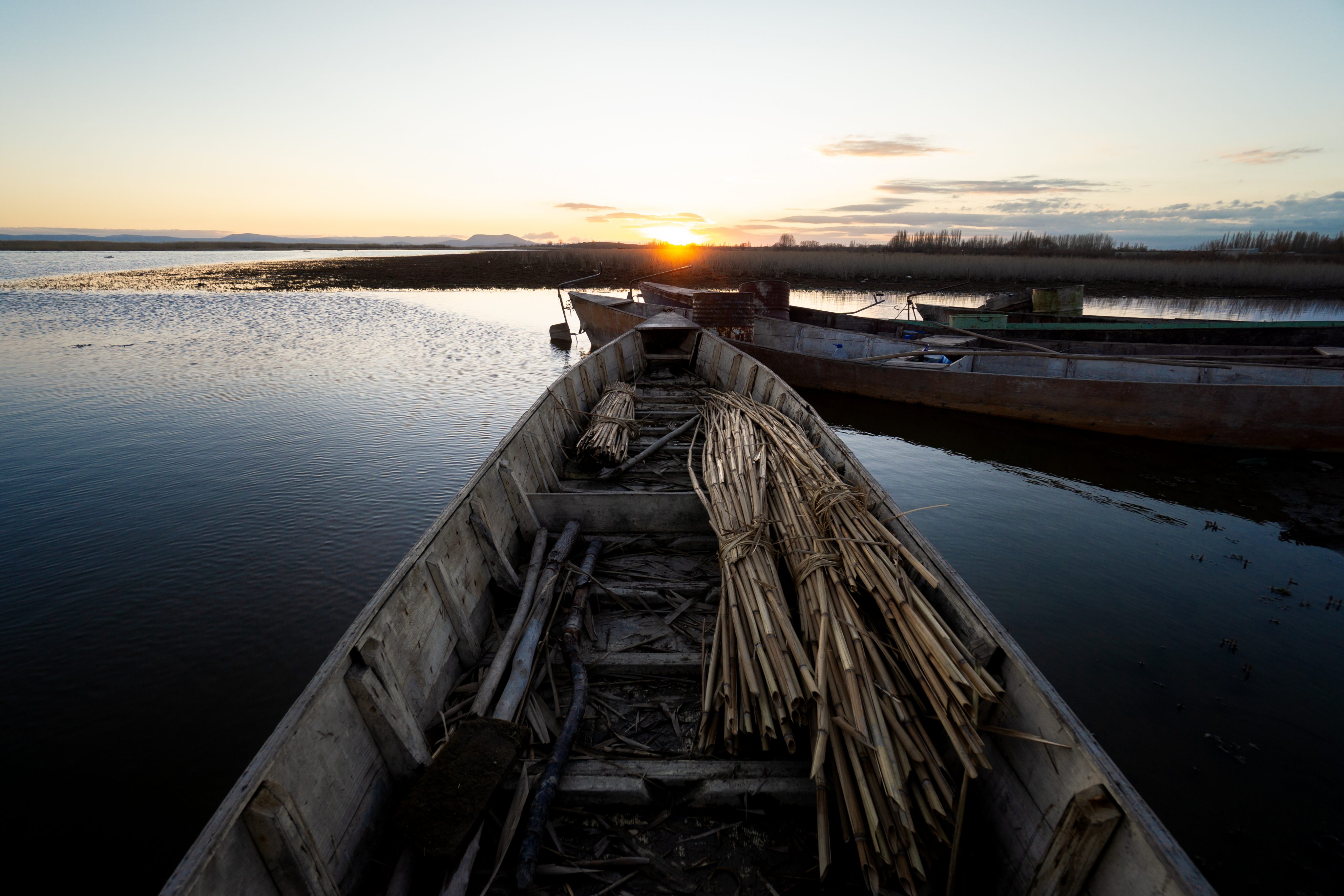 Eber Lake A World of Reeds The Art of Wayfaring