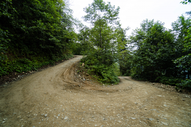 Pokut Yayla Rize